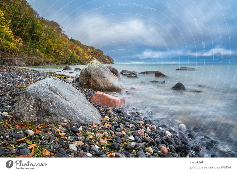 Ostseeküste auf der Insel Moen in Dänemark Erholung Ferien & Urlaub & Reisen Tourismus Strand Meer Natur Landschaft Wasser Wolken Herbst Baum Wald Felsen Küste