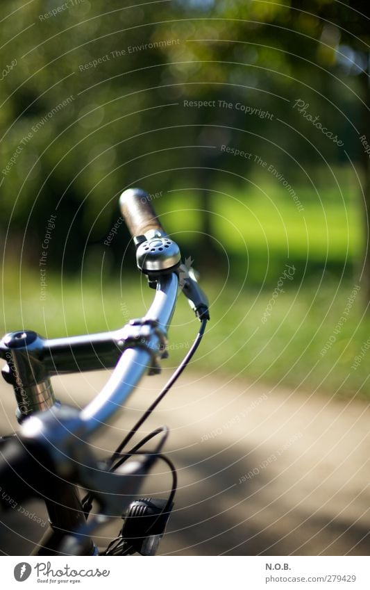 On Tour Freude sportlich Fitness Leben Wohlgefühl Freizeit & Hobby Fahrradtour Park fahren Sport Freundlichkeit Gesundheit Glück positiv grün entdecken Idylle