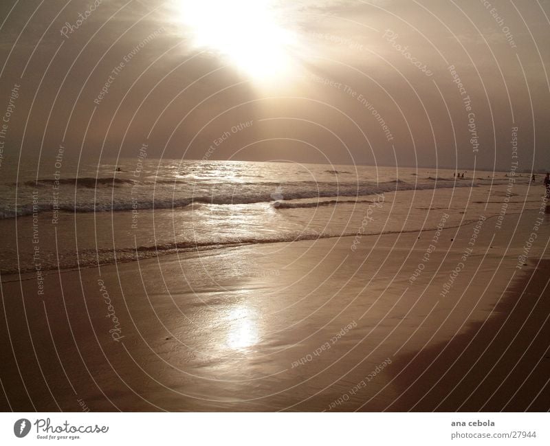 See3 Strand Sonnenuntergang Natur Wasser Sand