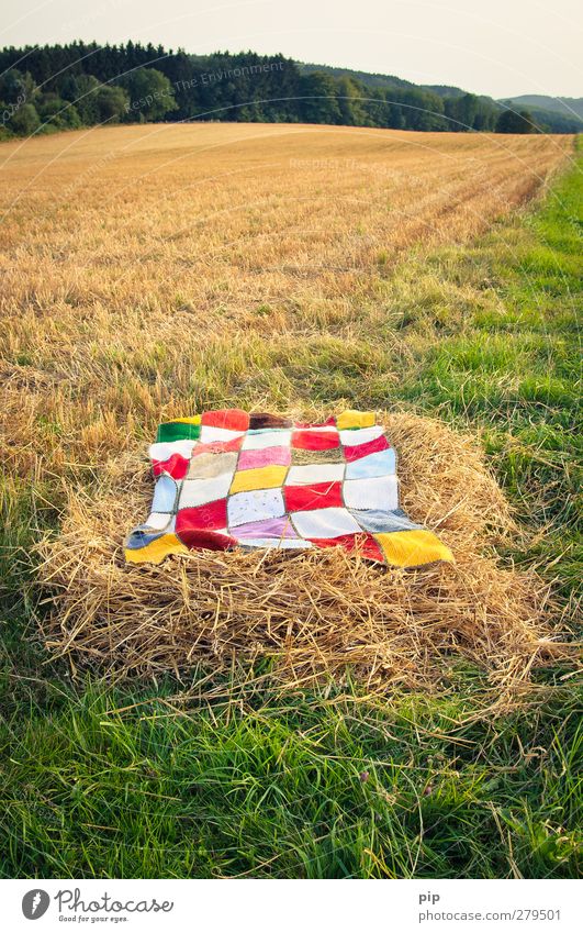 ein bett im stoppelfeld Natur Wolkenloser Himmel Sommer Schönes Wetter Gras Stroh Stoppelfeld Wiese Feld Wald Gelassenheit Decke strohbett gemütlich Horizont