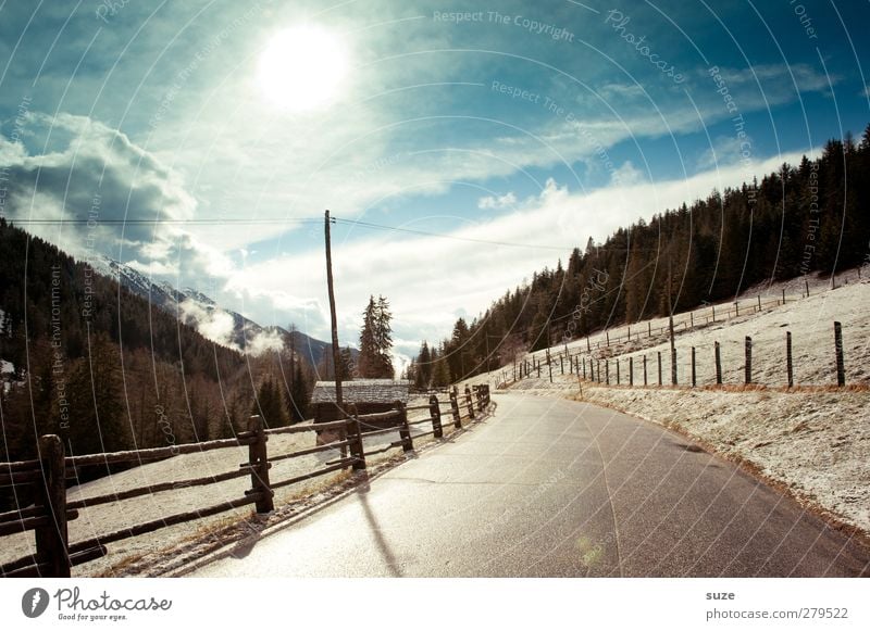 Kaltes Licht Ferien & Urlaub & Reisen Schnee Winterurlaub Berge u. Gebirge Umwelt Natur Landschaft Urelemente Himmel Wolken Klima Schönes Wetter Wald Felsen