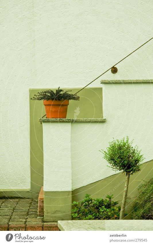 Treppe Häusliches Leben Wohnung Haus Innenarchitektur Dekoration & Verzierung Jahrmarkt Pflanze Baum Blatt Grünpflanze Nutzpflanze Kleinstadt Stadt Menschenleer