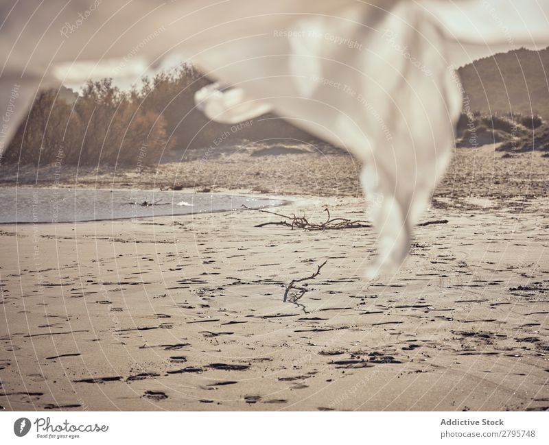 Textil- und Sandküste am Wasser Küste winkend Fluss Wind Sträucher Sonnenstrahlen Tag Entwurf Landschaft Sommer Strand weiß Pflanze natürlich wild Wald Natur