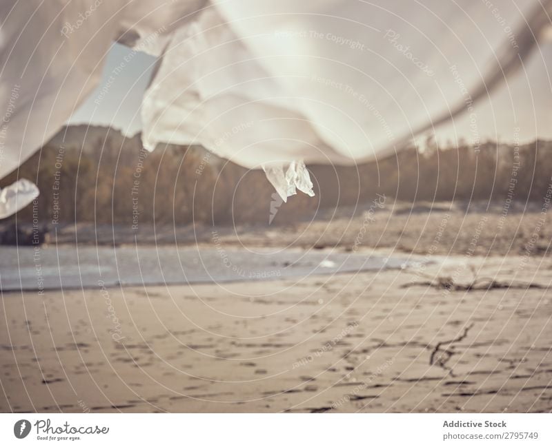 Textil- und Sandküste am Wasser Küste winkend Fluss Wind Sträucher Sonnenstrahlen Tag Entwurf Landschaft Sommer Strand weiß Pflanze natürlich wild Wald Natur