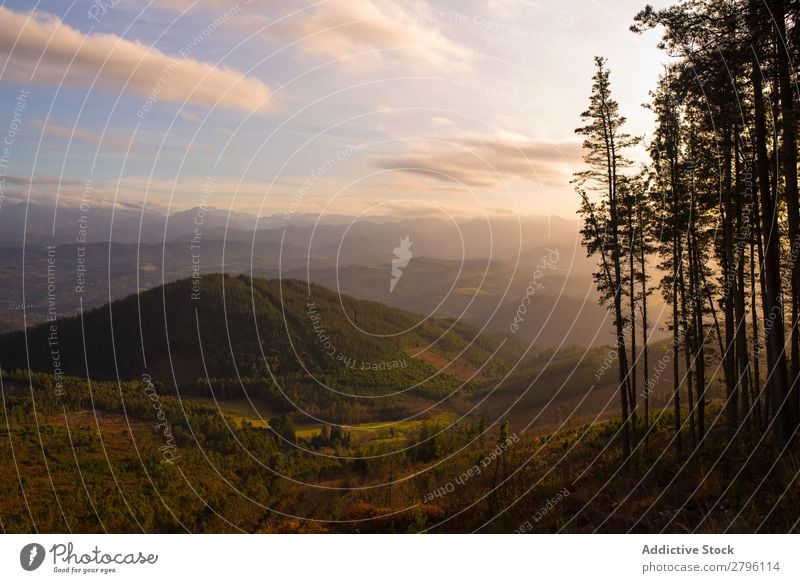 Majestätische Landschaft mit grünen Bergen im Sonnenlicht Berge u. Gebirge Tal malerisch Farbe Gelände Perspektive Natur Tourismus Jahreszeiten Sommer Umwelt