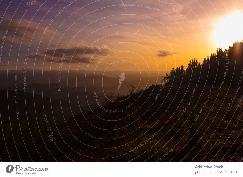 Majestätische Landschaft mit grünen Bergen im Sonnenlicht Berge u. Gebirge Tal malerisch Farbe Gelände Perspektive Natur Tourismus Jahreszeiten Sommer Umwelt