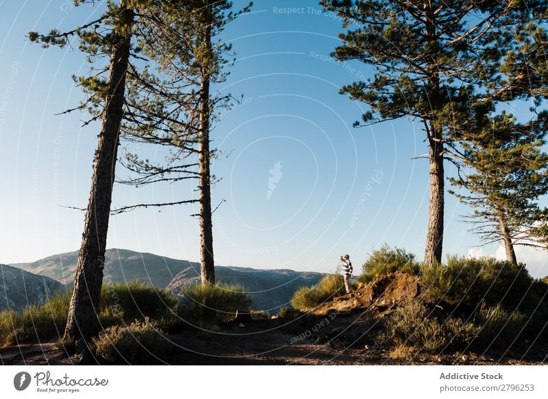 Mann steht auf einem Hügel zwischen Bäumen Berge u. Gebirge Baum Himmel Schönes Wetter Top Kiefer Holz blau wandern Himmel (Jenseits) Landschaft schön malerisch