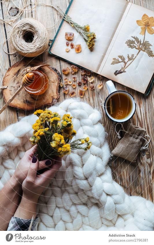 Kornhände mit Blumen in der Nähe von Honig und Tee Hand Decke Notizbuch getrocknet Pflanze Faser Tasche Sammlung Frau Haufen Blumenstrauß Blüte elegant Wärme