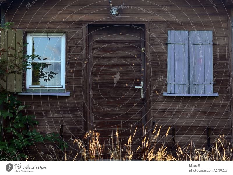 Hütte Wohnung Dorf alt Holzhütte gemütlich Allgäu Horn Fensterladen Farbfoto Außenaufnahme Menschenleer