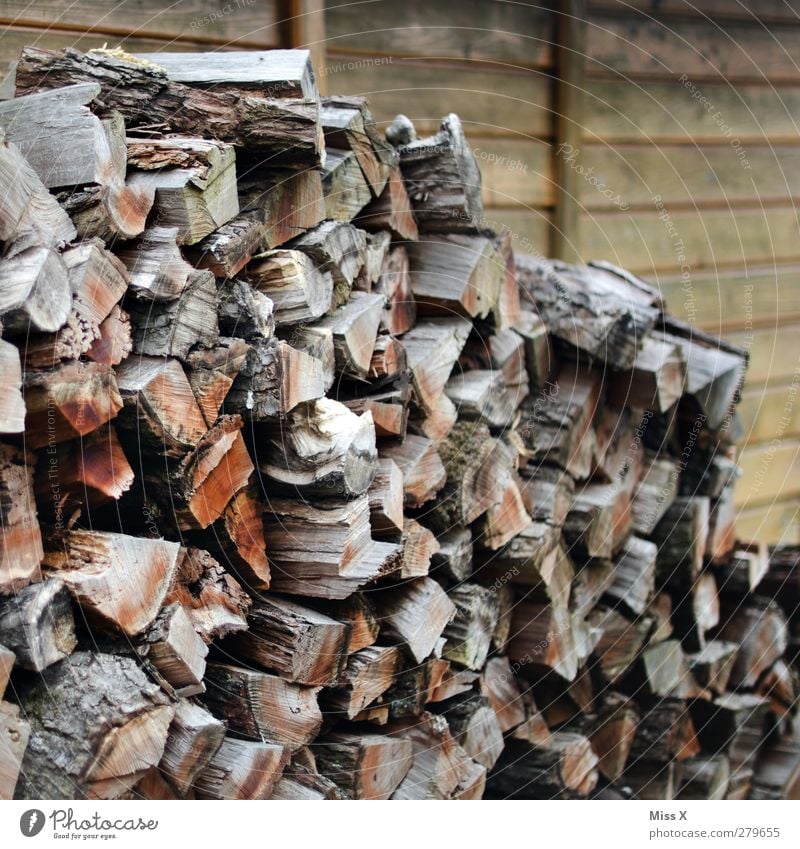 Holz vor der ... trocken braun Brennholz Ast Baumstamm Haufen Holzbrett Holzhütte Farbfoto Außenaufnahme Muster Strukturen & Formen Menschenleer