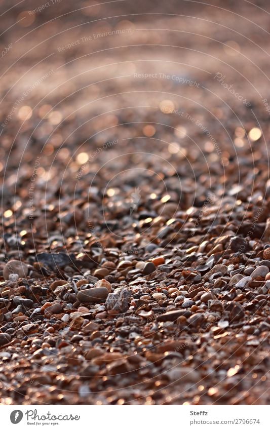 Steinstrand im Lichtschein Strand Steine Steinchen Lichtreflexe Naturstein Bruchstücke Mischung Materie Mineralien Formen Kieselsteine Material Vielfalt