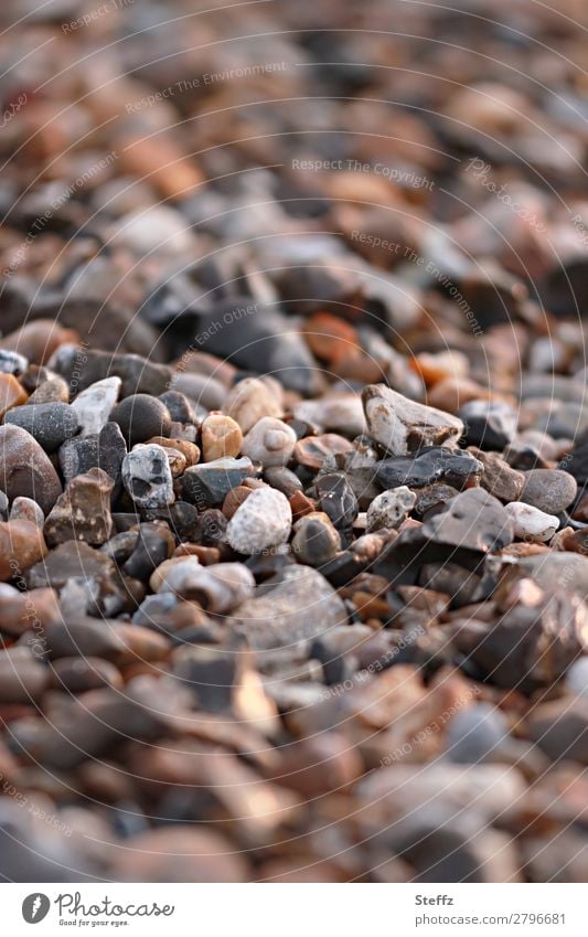 Steine am Strand Steinchen Steinstrand Vielfalt vielfältig verschiedene Verschiedenheit steinig Kieselsteine Formen Brauntöne gemischt vielfach Naturstein