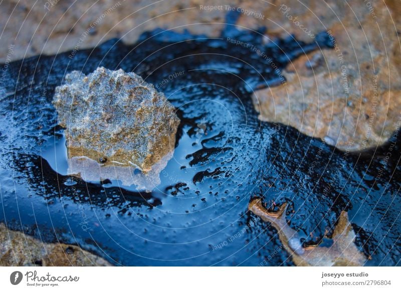 Rohölunfall auf einem Felsen am Strand Krankheit Industrie Umwelt Sand Küste Stein Erdöl dreckig schwarz Tod Desaster Energie Umweltverschmutzung Blob