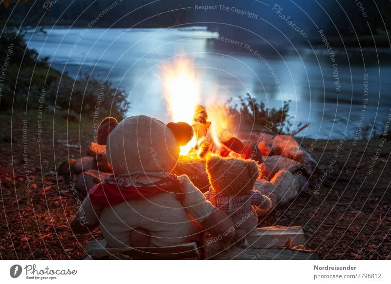 Zeit am Lagerfeuer freundschaft teddy camping lagerfeuer flame heizen anbrennen heiss holz nacht kamin orange black natur warm brennholz licht branden qualm