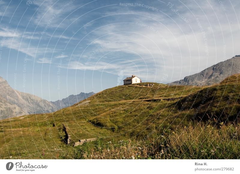 Kirche Westalpen Ferien & Urlaub & Reisen Tourismus Ausflug Sightseeing Natur Landschaft Himmel Sommer Schönes Wetter Wiese Hügel Alpen Berge u. Gebirge Gipfel