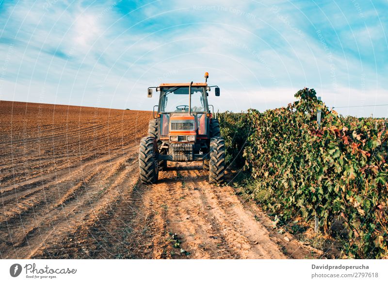 Traktor in einem Weinberg Maschine Verkehr Natur Feld Produktion Landwirtschaft ländlich Bauernhof Lokomotive Rad Weingut Ernte Sommer Hintergrundbild Himmel