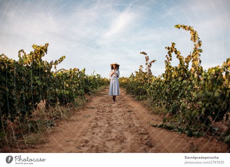 Junge Frau, die auf einem Weg inmitten eines Weinbergs geht. Weingut Weintrauben laufen organisch Ernte Wege & Pfade Glück Landwirtschaft grün Anhäufung Lächeln