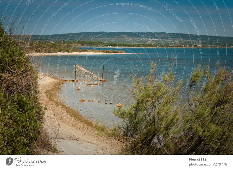 Blue(s) day... Umwelt Natur Landschaft Sand Wasser Himmel Wolkenloser Himmel Sonnenlicht Frühling Sommer Klima Schönes Wetter Baum Sträucher Strand Meer See