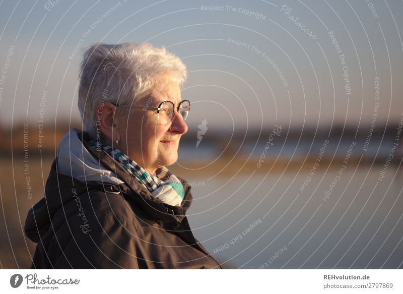 Seniorin blickt in die Ferne Mensch feminin Weiblicher Senior Frau Großmutter Leben Gesicht 1 60 und älter Umwelt Natur Landschaft Frühling Schönes Wetter See