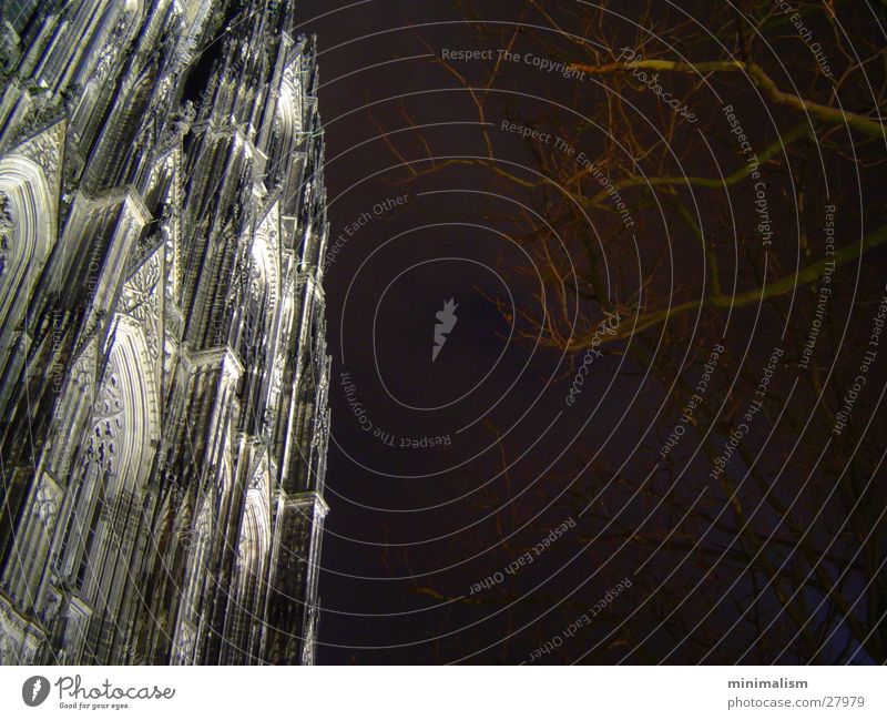 "baum domblick" Köln Nacht Europa Dom Beleuchtung athmosphäre Schatten