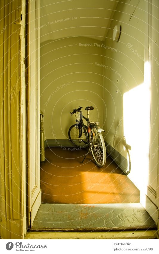 Fahrrad Lifestyle Freizeit & Hobby Ferien & Urlaub & Reisen Ausflug Häusliches Leben Wohnung Innenarchitektur Raum Fahrradfahren Mauer Wand Lebensfreude Sport