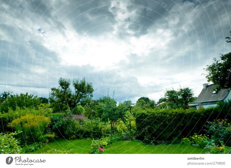 Garten Freizeit & Hobby Abenteuer Ferne Umwelt Natur Landschaft Pflanze Tier Wolken Gewitterwolken Sommer Klima Klimawandel Wetter Unwetter Blüte Park gut schön