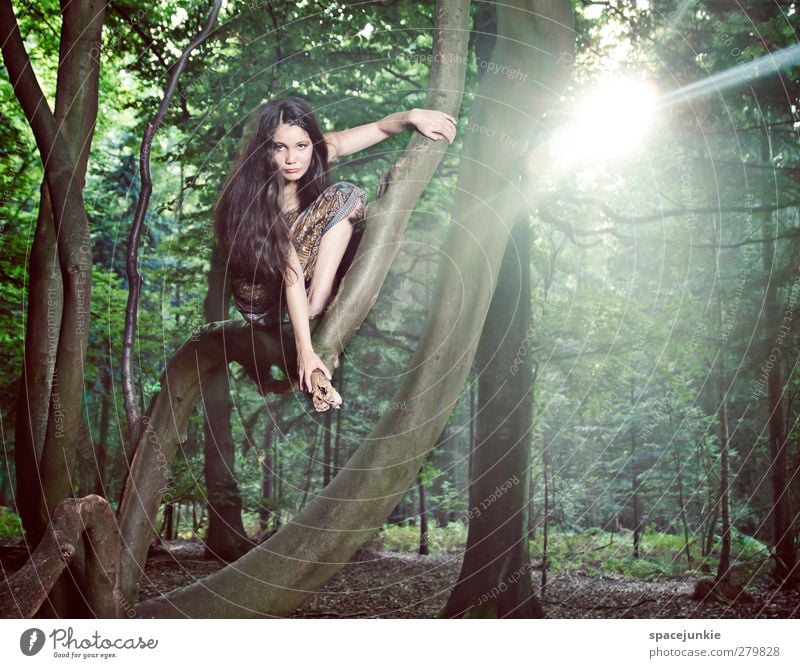 Into the light Mensch feminin Junge Frau Jugendliche 1 18-30 Jahre Erwachsene Sonne Baum Park Urwald beobachten Blick außergewöhnlich exotisch Gelassenheit