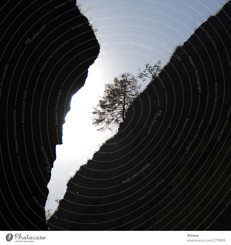 Nur ein schmales Stück vom Himmel Klettern Bergsteigen Landschaft Sonne Felsen Alpen Berge u. Gebirge Schlucht Stein Gletscherspalte Schlitz leuchten bedrohlich