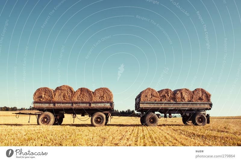 Anhängliche Erntehelfer Getreide Sommer Landwirtschaft Forstwirtschaft Umwelt Natur Landschaft Himmel Horizont Schönes Wetter Wärme Nutzpflanze Feld Anhänger