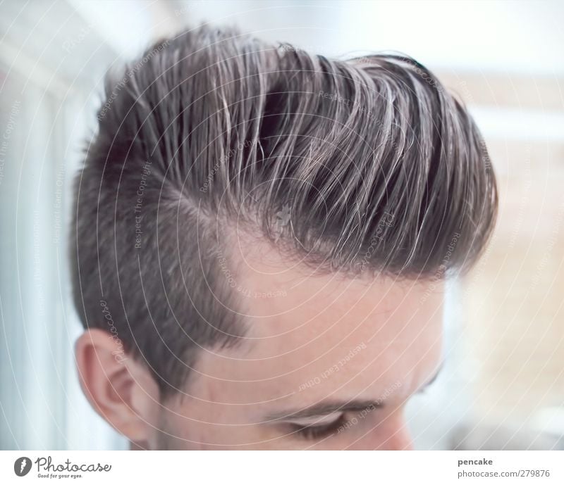 männlich | Wellness Stil schön Körperpflege Haare & Frisuren Leben harmonisch maskulin Mann Erwachsene 1 Mensch 18-30 Jahre Jugendliche Mode brünett Tolle Quiff