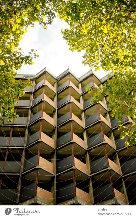 Parkhaus im Grünen Sommer Schönes Wetter Blatt Ast Hütte Hochhaus Fassade Balkon leuchten authentisch eckig Stadt braun grün ästhetisch Symmetrie Blätterdach