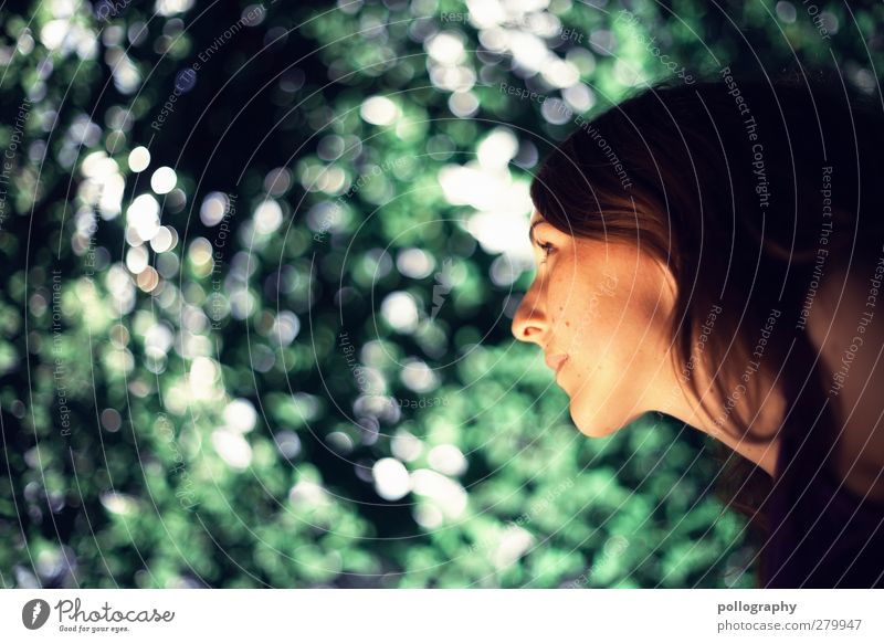 dream about (IV) Mensch feminin Junge Frau Jugendliche Erwachsene Leben Kopf 1 18-30 Jahre Natur Landschaft Sonnenlicht Sommer Schönes Wetter Baum Blatt