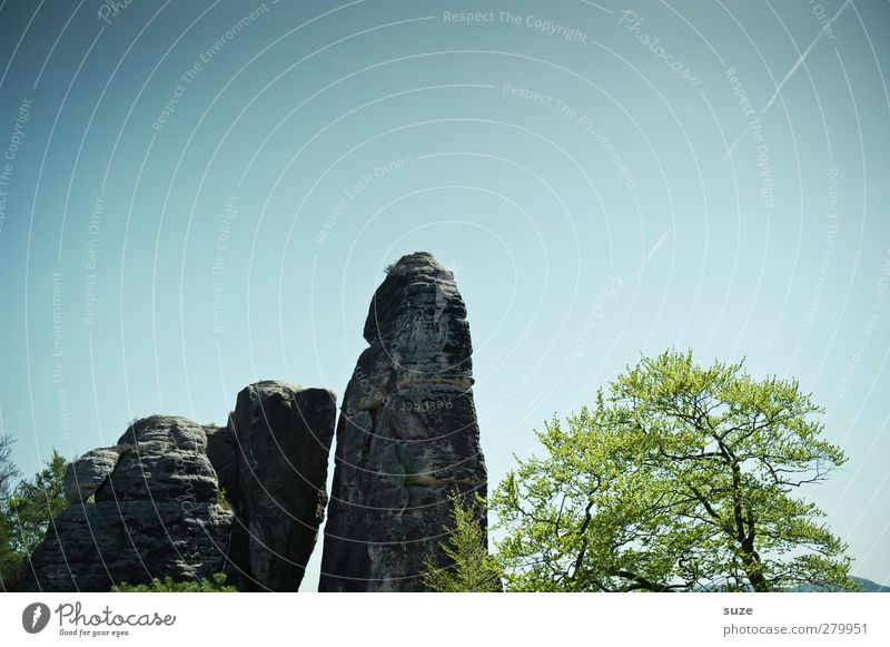 Hinkelstein Freiheit Berge u. Gebirge Umwelt Natur Landschaft Pflanze Himmel Wolkenloser Himmel Frühling Klima Schönes Wetter Baum Felsen authentisch groß hoch