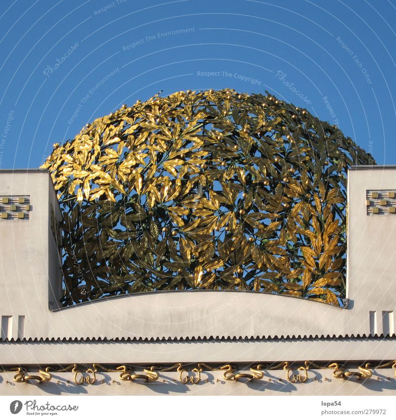 Goldlaub Kunst Museum Architektur Kultur Himmel Wien Österreich Hauptstadt Stadtzentrum Bauwerk Fassade Sehenswürdigkeit Wahrzeichen Denkmal Sezession