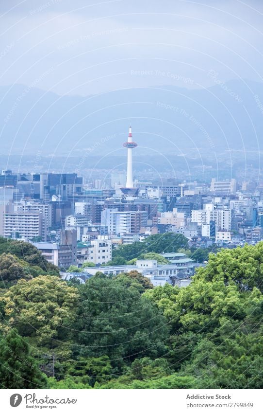 Blick auf den Wald und die moderne Stadt Großstadt Japan Baum grün Himmel Asien Architektur Ferien & Urlaub & Reisen Ausflug Tourismus Skyline Gebäude Hochhaus