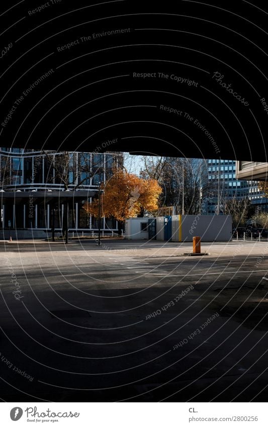 stille straßen Herbst Schönes Wetter Baum Stadt Menschenleer Haus Hochhaus Platz Bauwerk Gebäude Architektur Mauer Wand Container dunkel Parkplatz Farbfoto