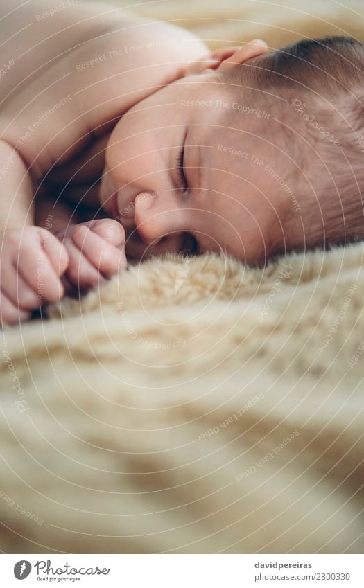 Baby schläft auf einer Decke schön ruhig Schlafzimmer Kind Mensch Frau Erwachsene Kindheit schlafen authentisch klein nackt niedlich bequem unschuldig traumhaft