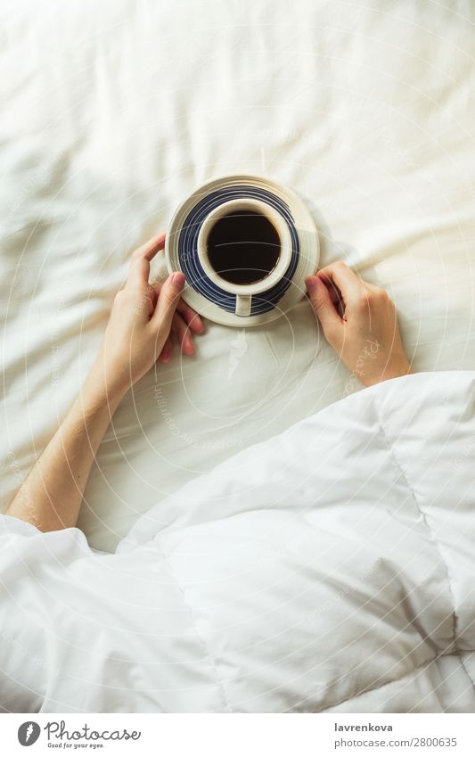 Flache Auflage der Frauenhände, die von einer Decke bedeckt ist, die Kaffee hält. schön Schlafzimmer Frühstück Geborgenheit gemütlich Tasse Getränk Flachlegung