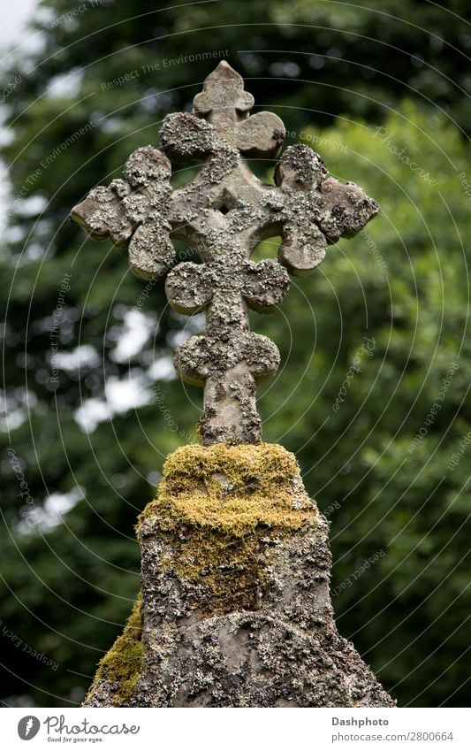 Altes keltisches Kreuz in einem schottischen Hochland-Kirchenhof Skulptur Baum Moos Denkmal Stein alt durchkreuzen Keltenkreuz Algen Kirchplatz Friedhof