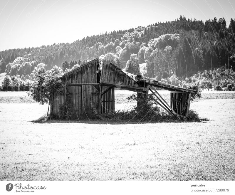 hüttenzauber Landschaft Eis Frost Wiese Wald Alpen Dorf Menschenleer Hütte standhaft Einsamkeit skurril Vergänglichkeit Zusammenbruch Neigung Allgäu Rotfilter