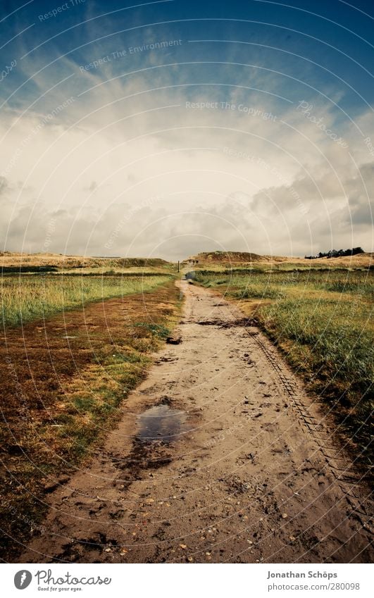 Der Weg Umwelt Natur Landschaft Himmel Sommer Schönes Wetter Wiese Feld Unendlichkeit Wege & Pfade Idylle Kitsch Düne Mitte Warmes Licht Hintergrundbild