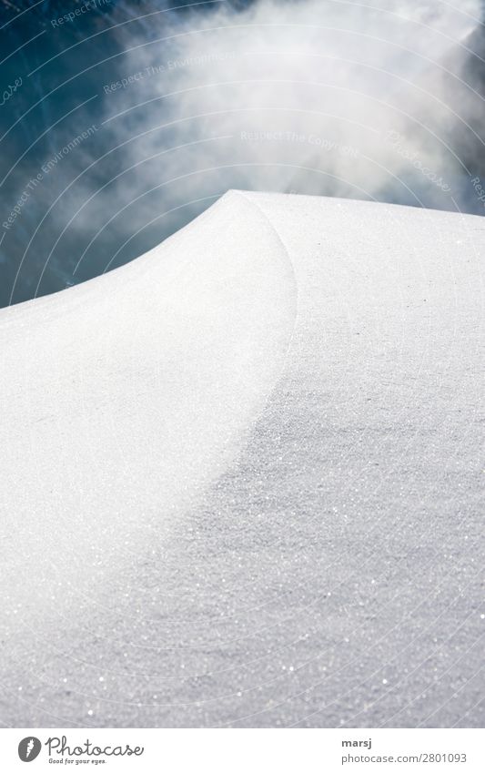 Auf die Linie schauen harmonisch ruhig Winter Schnee Natur Nebel Eis Frost Wechte Ecke ästhetisch außergewöhnlich kalt natürlich weiß träumen Traurigkeit