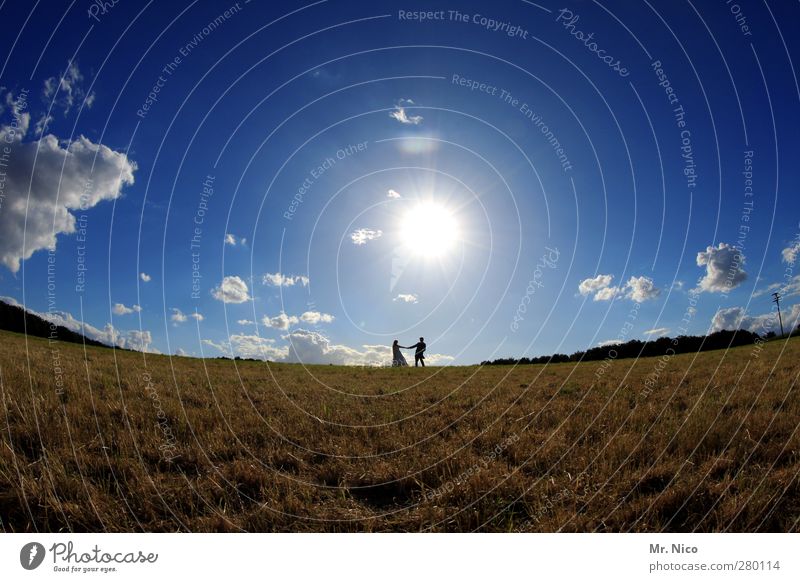 You've Got the Love Hochzeit Paar Partner 2 Mensch Umwelt Natur Landschaft Himmel Wolken Sonne Sommer Schönes Wetter Wiese Feld Freude Glück Zufriedenheit