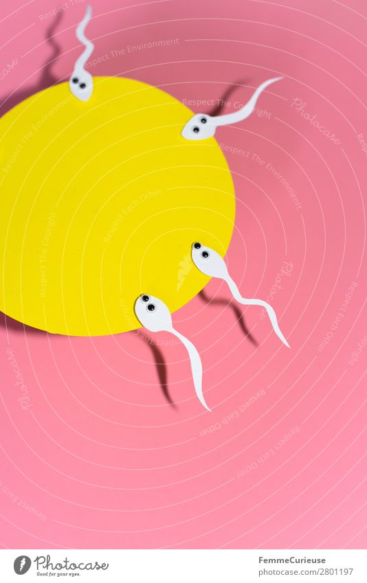 Reproduction - Sperm with wobbly eyes swimming to egg cell Familie & Verwandtschaft Sex Sexualität Spermien Auge Wackelaugen Papier Schreibwaren ausgeschnitten