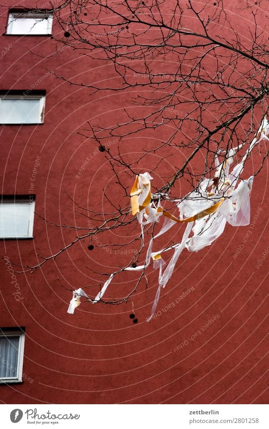 Plastikmüll Brandmauer Fassade Fenster Haus hinten Rückansicht Hinterhof Hof Innenhof Stadtzentrum Mauer Mehrfamilienhaus Menschenleer Stadthaus Textfreiraum