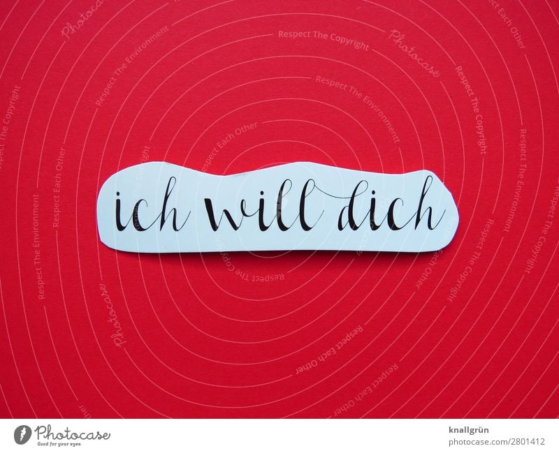 Ich will dich Lust Sex Liebe Begierde Erotik Sexualität Gefühle Zusammensein 2 begehrenswert Verliebtheit Buchstaben Wort Satz Letter Typographie