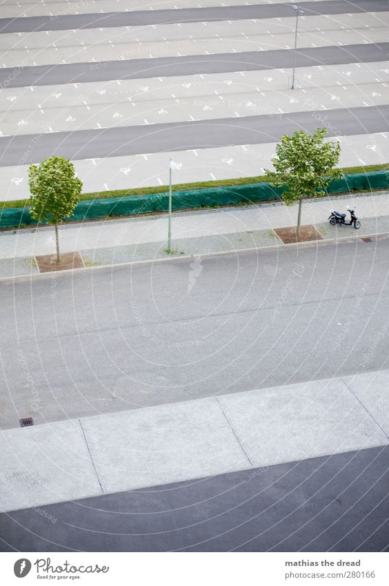 SCHATTENPARKER Baum Stadtzentrum Menschenleer Architektur Straßenverkehr Wege & Pfade Parkplatz Kleinmotorrad klein bewegungslos Laterne Schilder & Markierungen