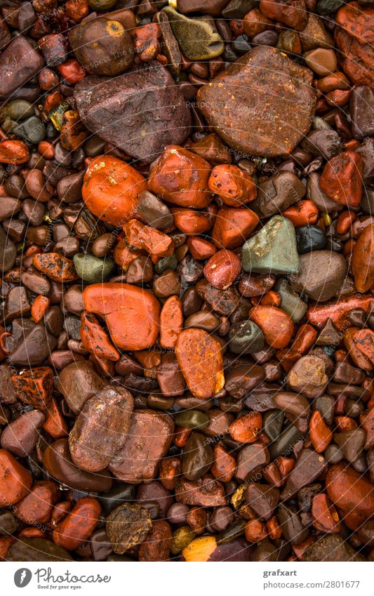 Nasse rote Kieselsteine an der Atlantikküste in Schottland hintergrund strand kiesstrand schön braun nahaufnahme farbig dekorativ design detail unterschied