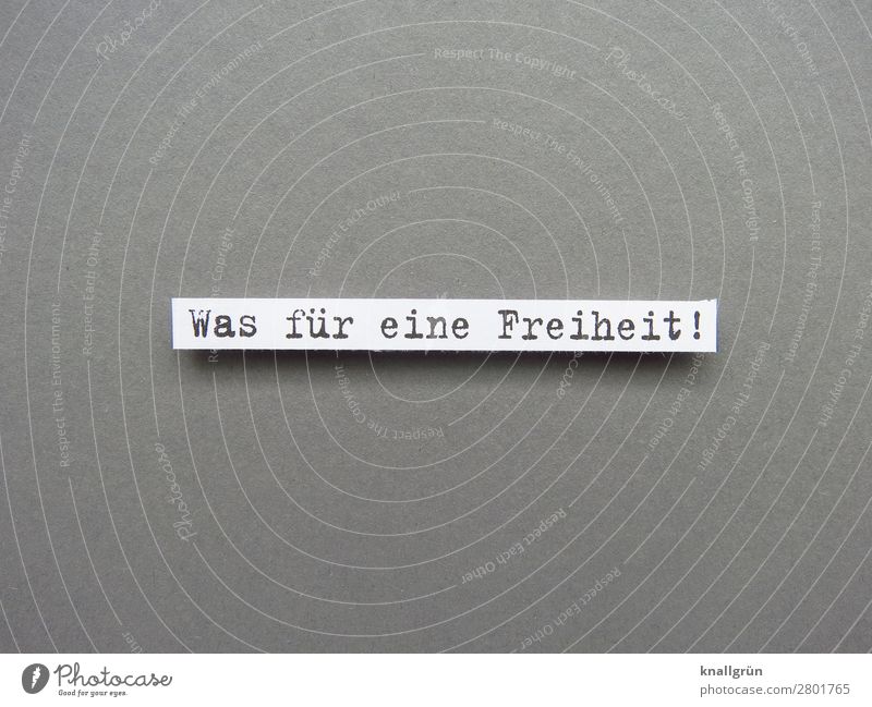 Was für eine Freiheit! Gefühle Stimmung Buchstaben Wort Satz Letter Schriftzeichen Lateinische Typographie Text Mitteilung Schilder & Markierungen Kommunizieren