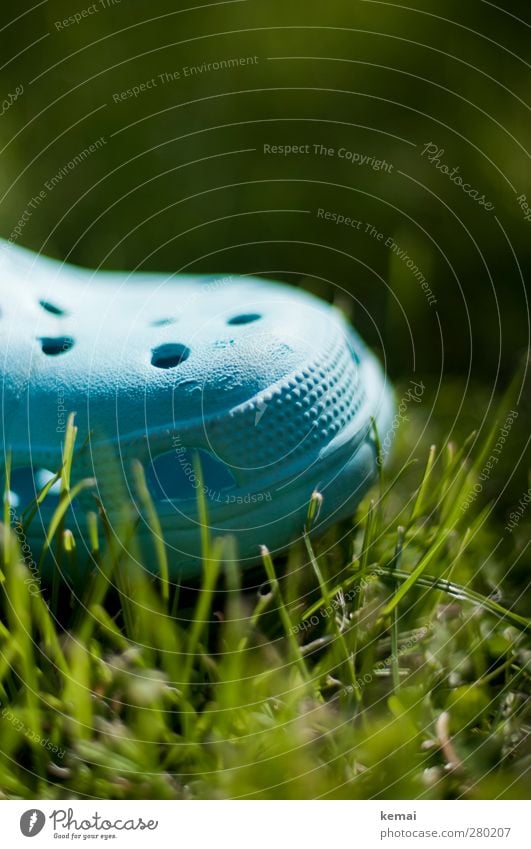 Gummischuh Umwelt Natur Sommer Gras Grünpflanze Halm Wiese Garten Bekleidung Schuhe Gartenschuh hell blau grün Farbfoto Gedeckte Farben Außenaufnahme